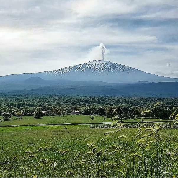 Вилла Vecchio Forno Puntalazzo Экстерьер фото